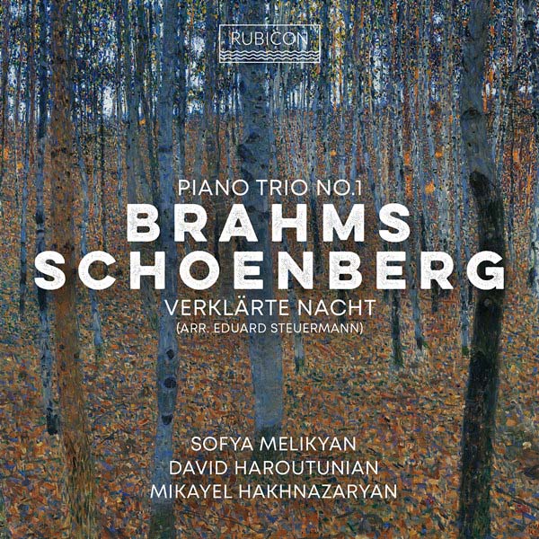 Brahms: Piano Trio No. 1 – Schoenberg: Verklarte Nacht (2024)