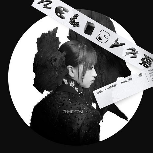 林洁心 – 纸飞机