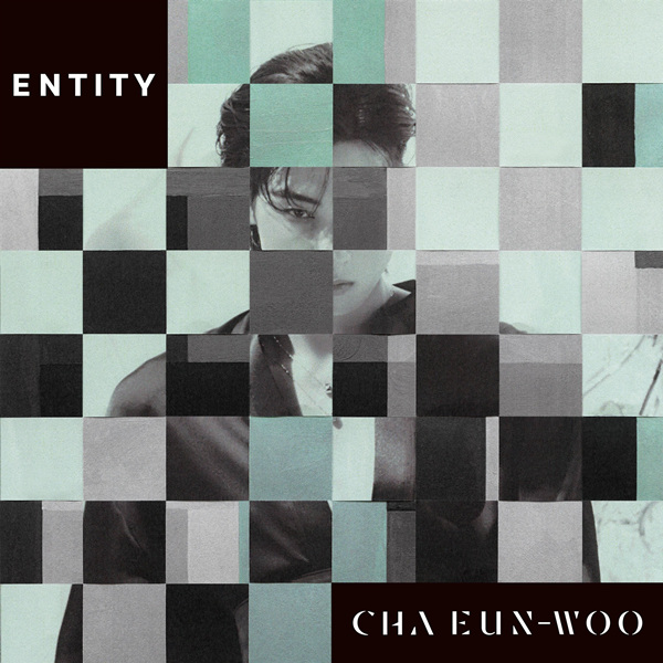 车银优 – ENTITY