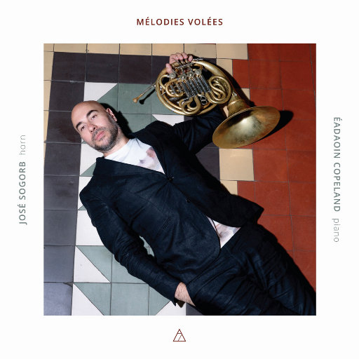 失窃的旋律 (Mélodies Volées)