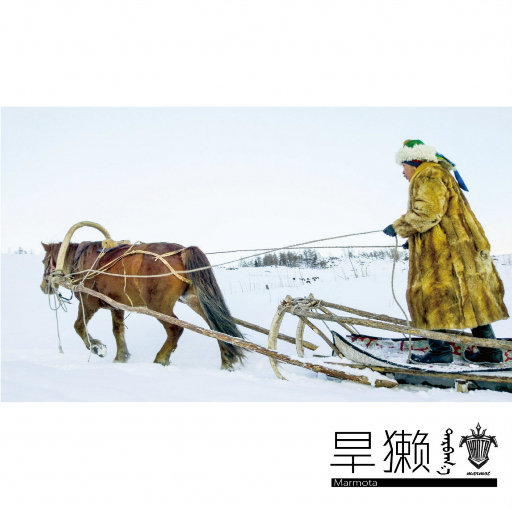 旱獭