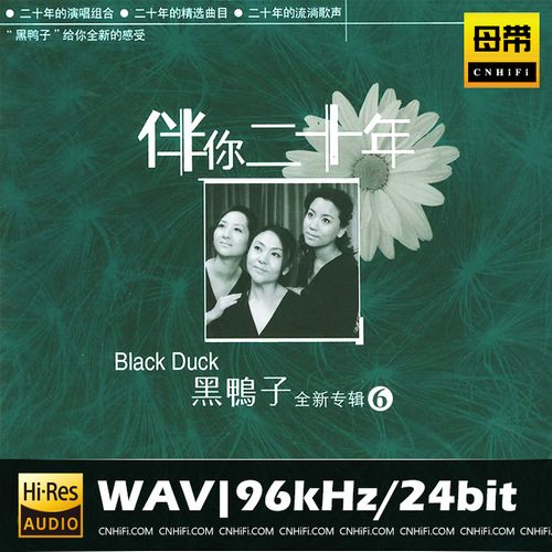 黑鸭子 伴你二十年-民歌专辑