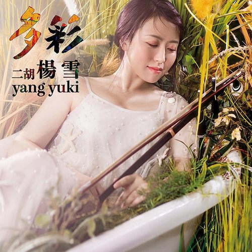 杨雪 多彩