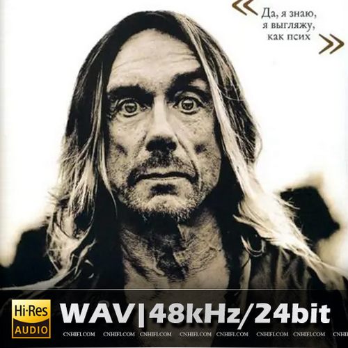 Iggy Pop（精选合集）