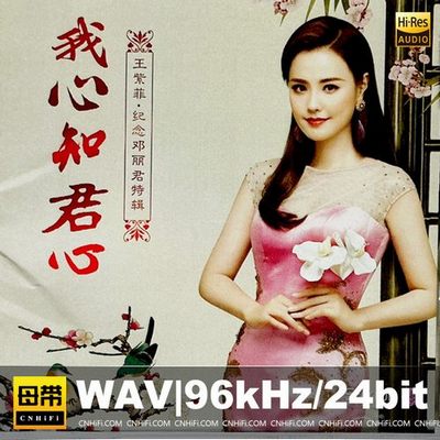王紫菲 – 纪念邓丽君特辑：我心知君心