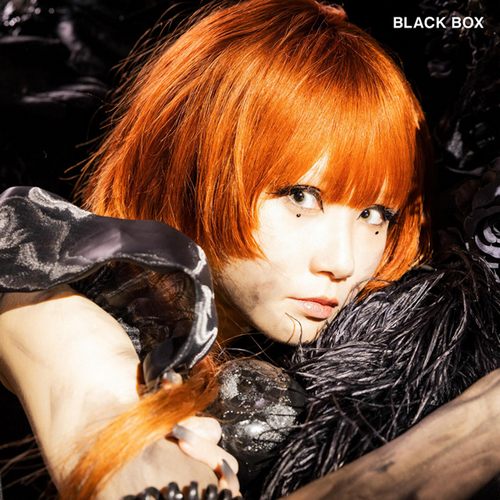 Reol DDD