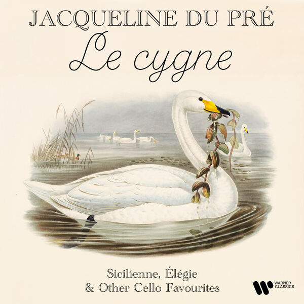 “Le cygne / The Swan” – Sicilienne