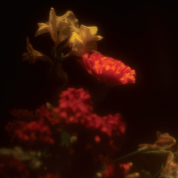 催眠 (Hypnagogie)