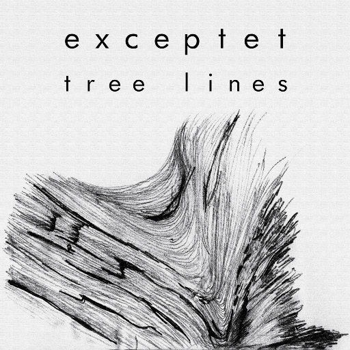 树影痕迹 (Tree Lines)